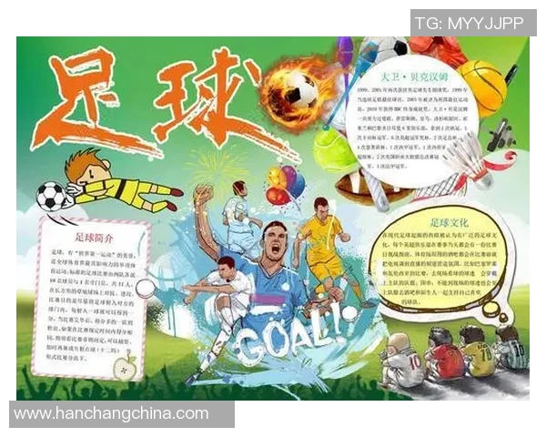 足球明星退役的完整流程与注意事项详解图解